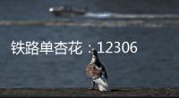 鐵路單杏花：12306 車票售罄即無票，第三方平臺顯示有票為誘導行為
