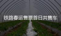 鐵路春運售票首日共售車票超1200萬張網(wǎng)絡(luò)售票占8成