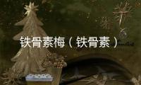 鐵骨素梅（鐵骨素）