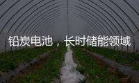 鉛炭電池，長(zhǎng)時(shí)儲(chǔ)能領(lǐng)域的又一匹[黑馬]？
