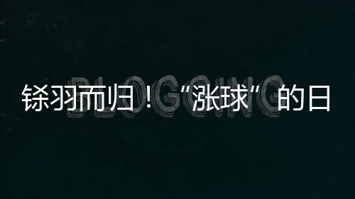 鎩羽而歸！“漲球”的日本乒乓叫板國乒仍沒戲