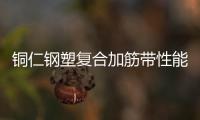 銅仁鋼塑復(fù)合加筋帶性能說明