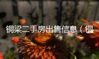銅梁二手房出售信息（銅梁二手房）