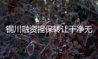銅川融資擔保轉讓干凈無異常