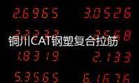 銅川CAT鋼塑復合拉筋帶性能說明