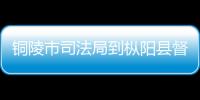 銅陵市司法局到樅陽縣督查調研重點人群安保維穩工作