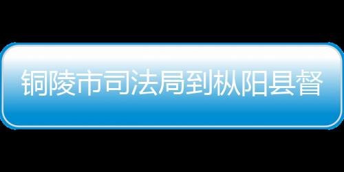 銅陵市司法局到樅陽縣督查調(diào)研重點人群安保維穩(wěn)工作