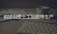 銅陵鋼塑土工加筋帶生產廠家