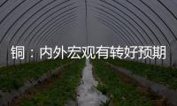 銅：內(nèi)外宏觀有轉(zhuǎn)好預(yù)期滬銅高位震蕩