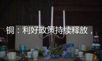 銅：利好政策持續釋放，支撐價格
