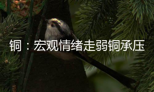 銅：宏觀情緒走弱銅承壓回落
