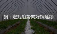 銅：宏觀趨勢(shì)向好銅延續(xù)調(diào)整