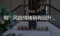 銅：風險情緒稍有回升，限制價格回落