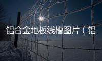 鋁合金地板線槽圖片（鋁合金地板線槽）