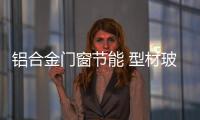 鋁合金門窗節(jié)能 型材玻璃一樣都不能少,市場(chǎng)研究