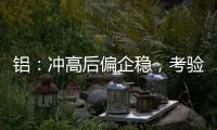 鋁：沖高后偏企穩，考驗18500關口有效支撐；氧化鋁