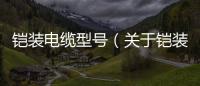 鎧裝電纜型號（關于鎧裝電纜型號的基本情況說明介紹）
