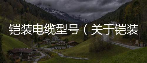 鎧裝電纜型號（關于鎧裝電纜型號的基本情況說明介紹）