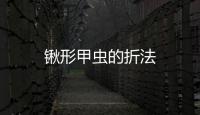 鍬形甲蟲的折法