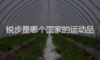 銳步是哪個國家的運動品牌（銳步是哪個國家的）