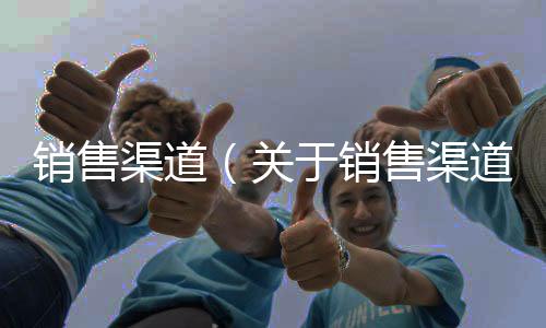 銷售渠道（關(guān)于銷售渠道的基本情況說明介紹）