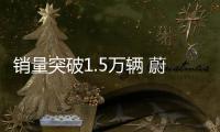 銷量突破1.5萬輛 蔚領激活國內旅行車市場