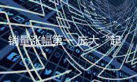 銷量漲幅第一 龐大“起死回生”？