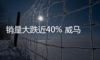 銷量大跌近40% 威馬能否走出困境？