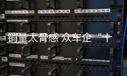 銷量太骨感 眾車企“十二五”難圓滿收官