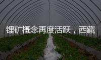 鋰礦概念再度活躍，西藏珠峰漲停，盛新鋰能等走高