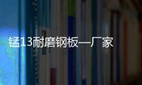 錳13耐磨鋼板—廠家 錳13耐磨鋼板價格