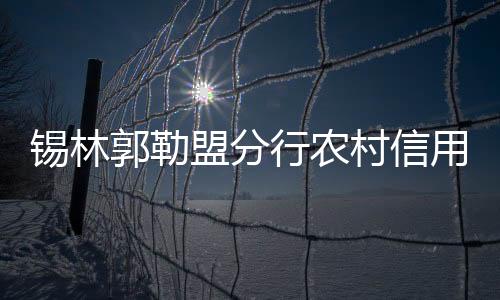 錫林郭勒盟分行農村信用體系建設見成效