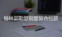 錫林郭勒盟鋼塑復合拉筋帶30020C價格優惠