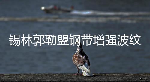 錫林郭勒盟鋼帶增強波紋管經銷商、品牌廠家