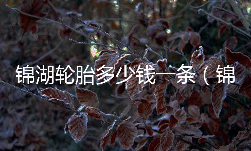 錦湖輪胎多少錢一條（錦湖輪胎促銷）
