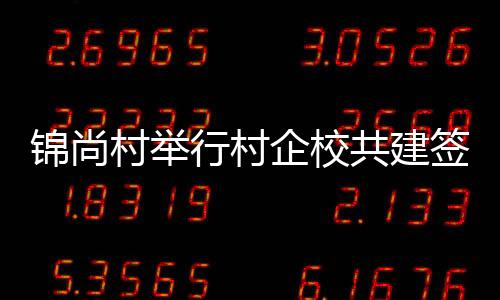 錦尚村舉行村企校共建簽約儀式