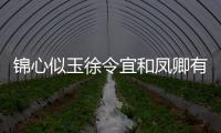 錦心似玉徐令宜和鳳卿有血緣關(guān)系嗎？鳳卿是誰的兒子？