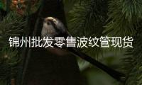 錦州批發(fā)零售波紋管現(xiàn)貨供應、價格便宜