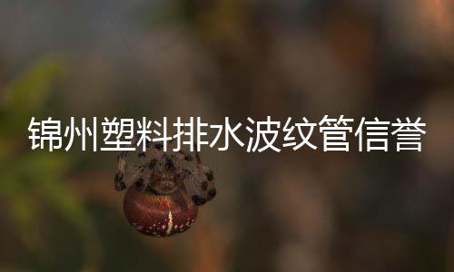 錦州塑料排水波紋管信譽(yù)推薦報(bào)價(jià)