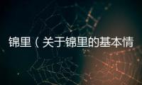 錦里（關于錦里的基本情況說明介紹）