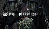 錦鯉哪一種品種最好？ 什么品種的錦鯉最好養(yǎng)