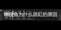 錦鯉魚為什么跳缸的原因(錦鯉魚在缸里亂竄象驚大了怎么辦)