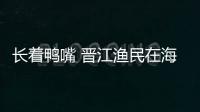 長著鴨嘴 晉江漁民在海里捕到怪魚