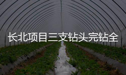 長北項目三支鉆頭完鉆全井段