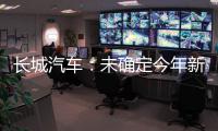 長城汽車：未確定今年新車型具體上市計劃