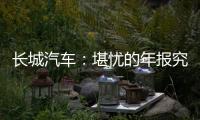 長城汽車：堪憂的年報究竟揭露了什么？
