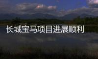 長城寶馬項目進展順利 雙方充滿信心