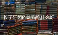 長了牙齒的幼貓吃什么好呢？長了牙齒的幼貓吃什么好消化