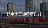長豐土工加筋帶性能