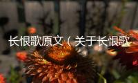 長恨歌原文（關于長恨歌原文的基本情況說明介紹）